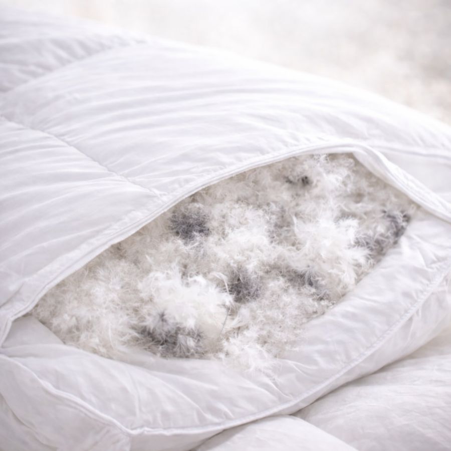 Canadian down Promo duvet Chinook collection